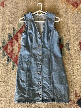 Sleeveless Light Blue Denim Button-Front Dress